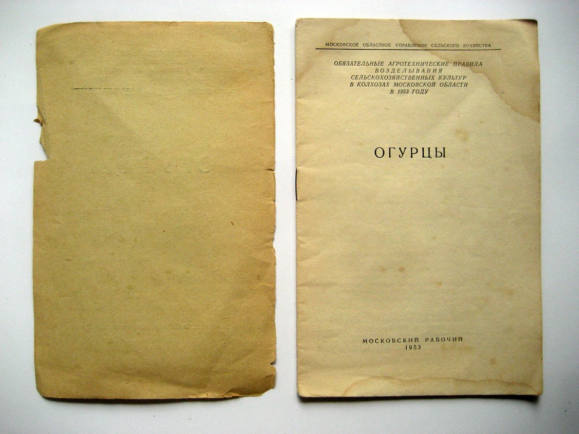 Огурцы.