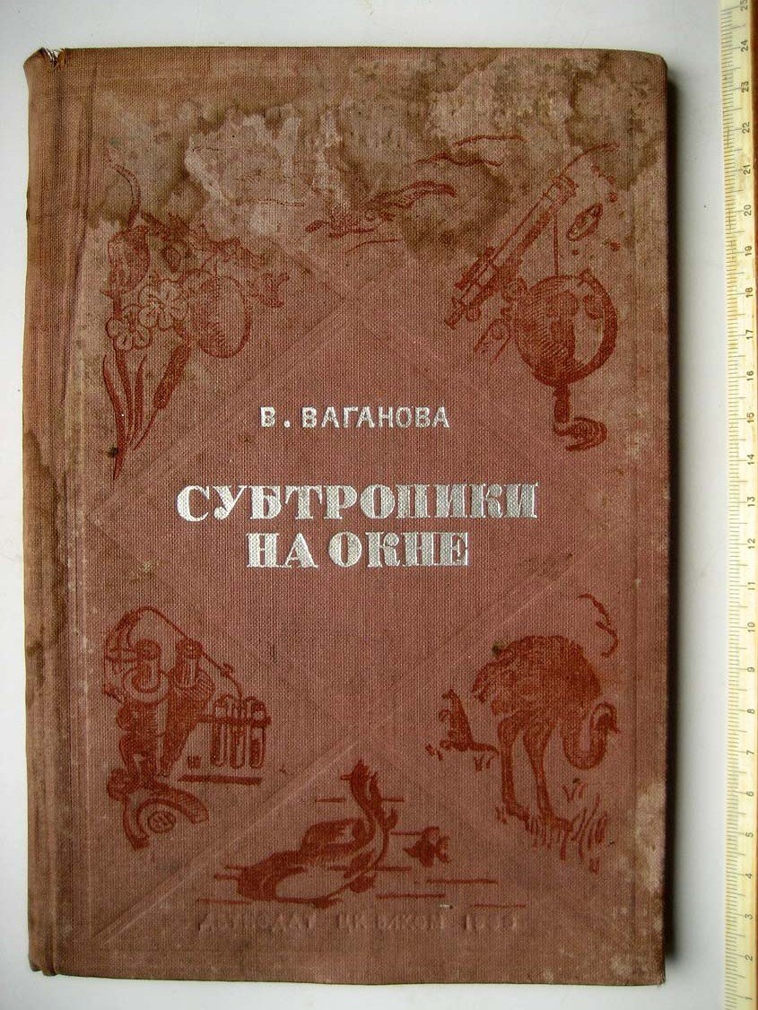 Ваганова В. Субтропики на окне.