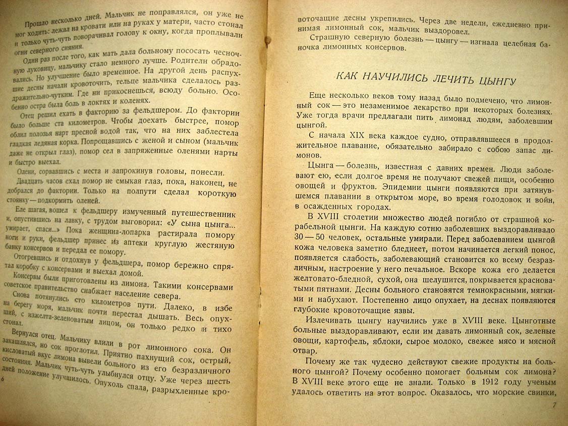 Ваганова В. Субтропики на окне.