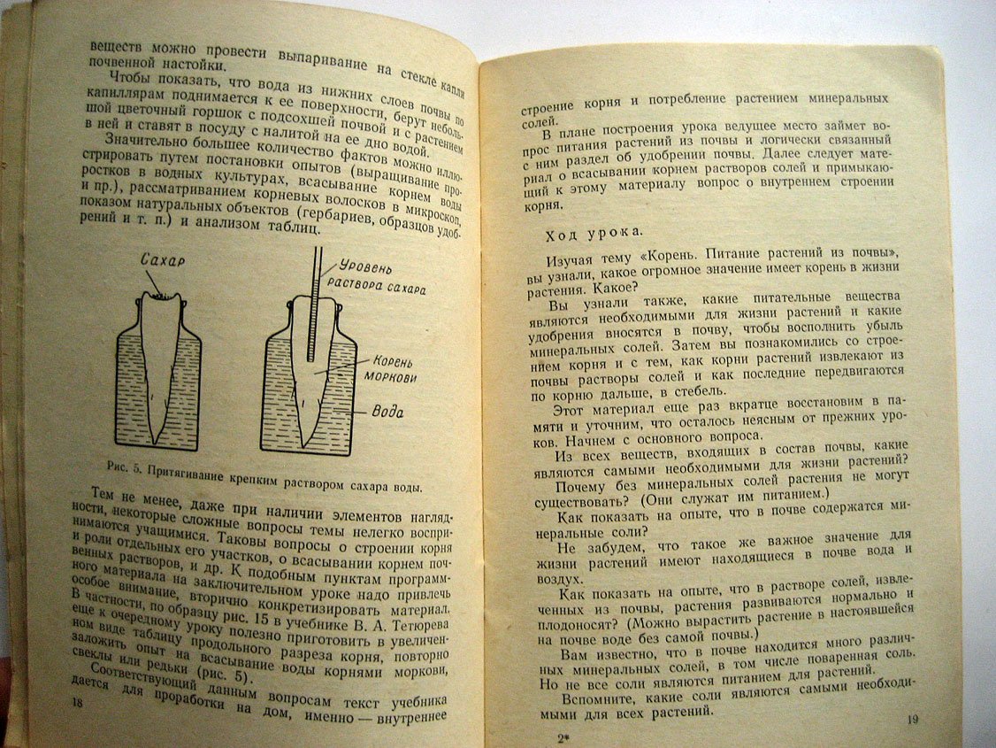 Никитинский И. Заключительные уроки по темам курса ботаники.