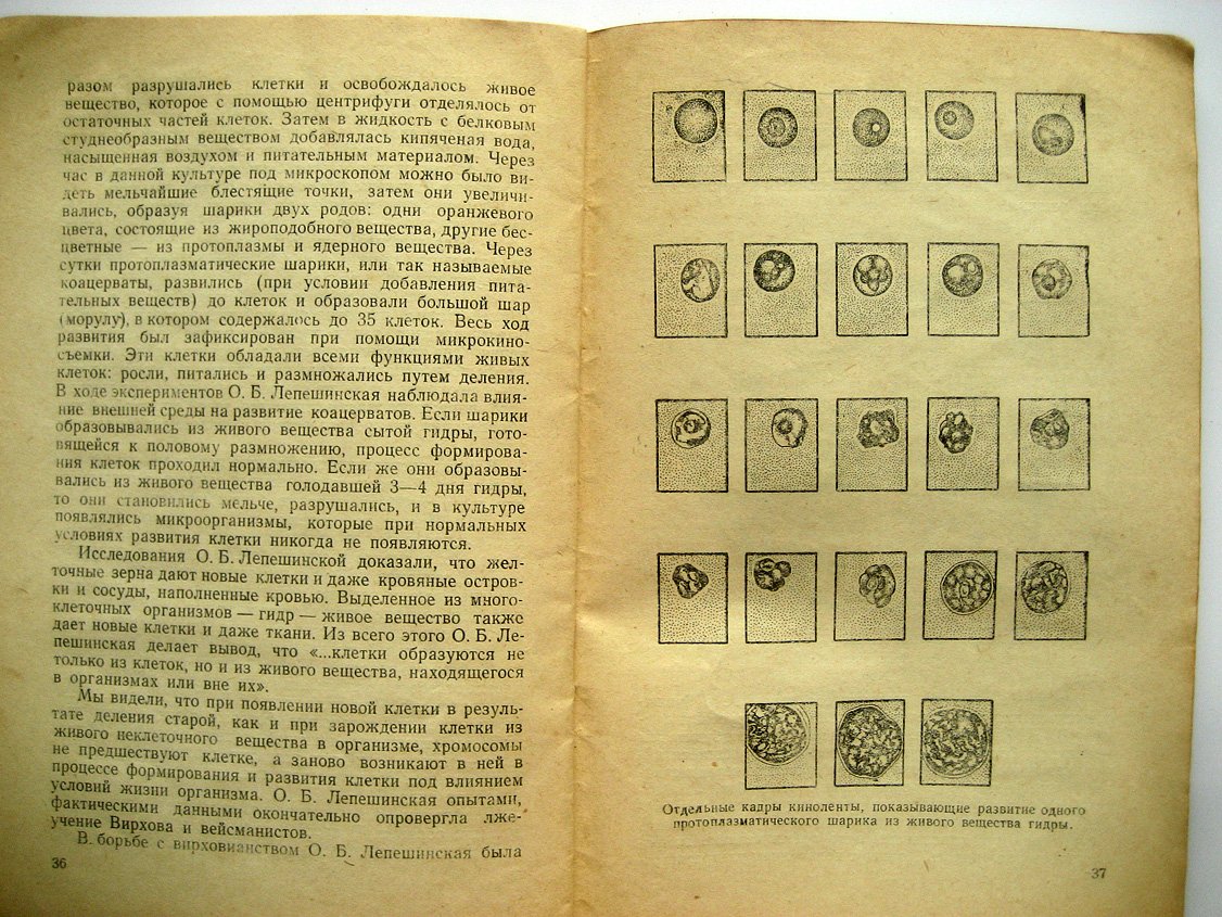 Пыльнов И. Новое в учении о клетке (Лысенко, Лепешинская)