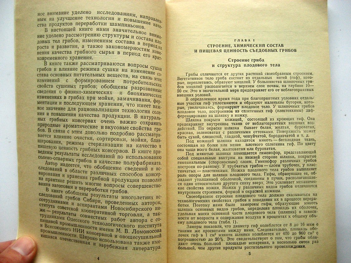 Жук Ю. Консервирование и хранение грибов (биохимические основы).