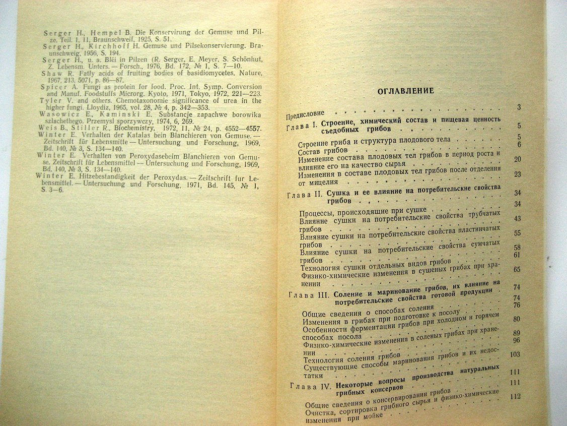 Жук Ю. Консервирование и хранение грибов (биохимические основы).