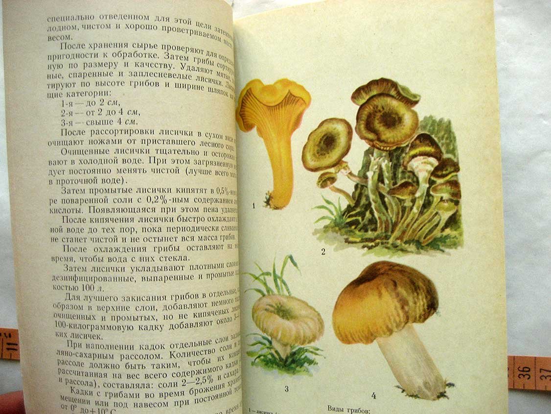 Людковский В. Заготовка, переработка и хранение дикорастущих организациями потребительской кооперации РСФСР