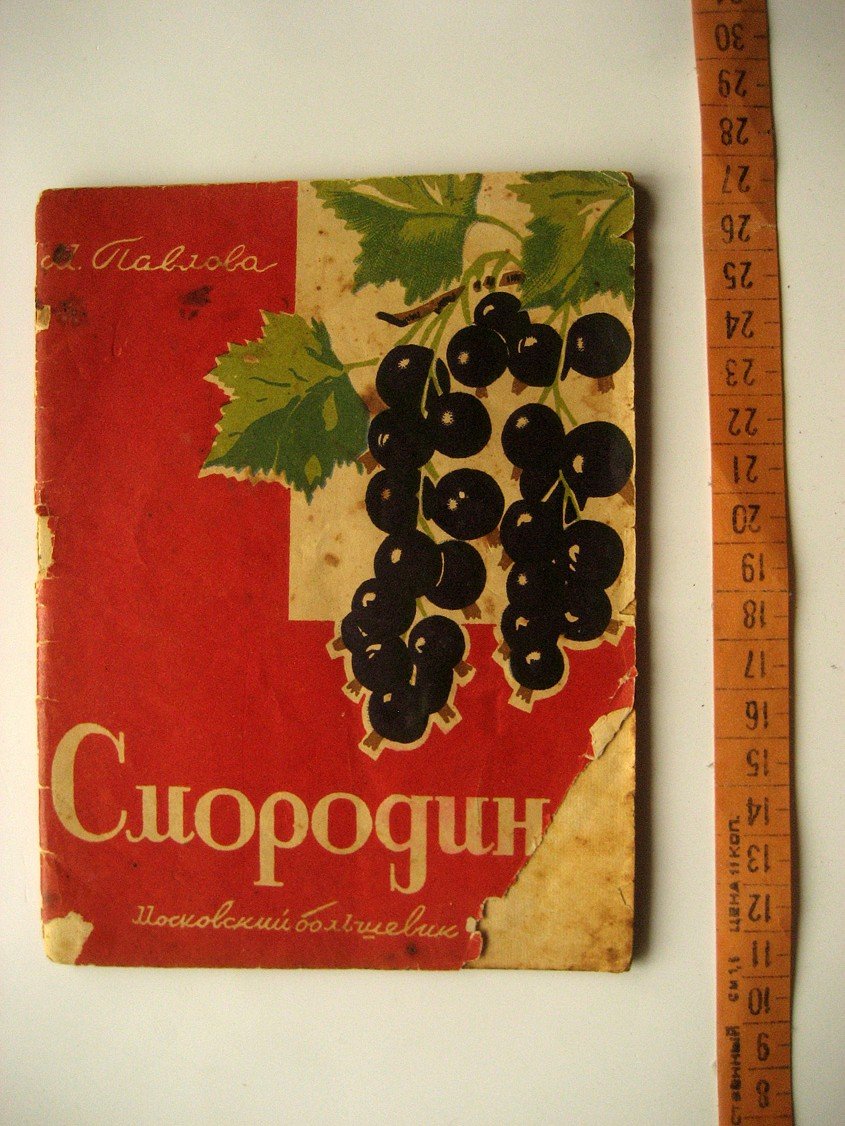 Павлова М. Смородина.