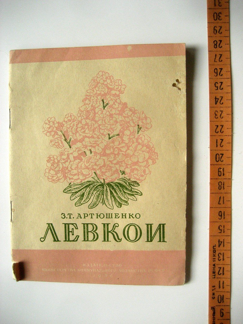 Артюшенко З. Левкои.