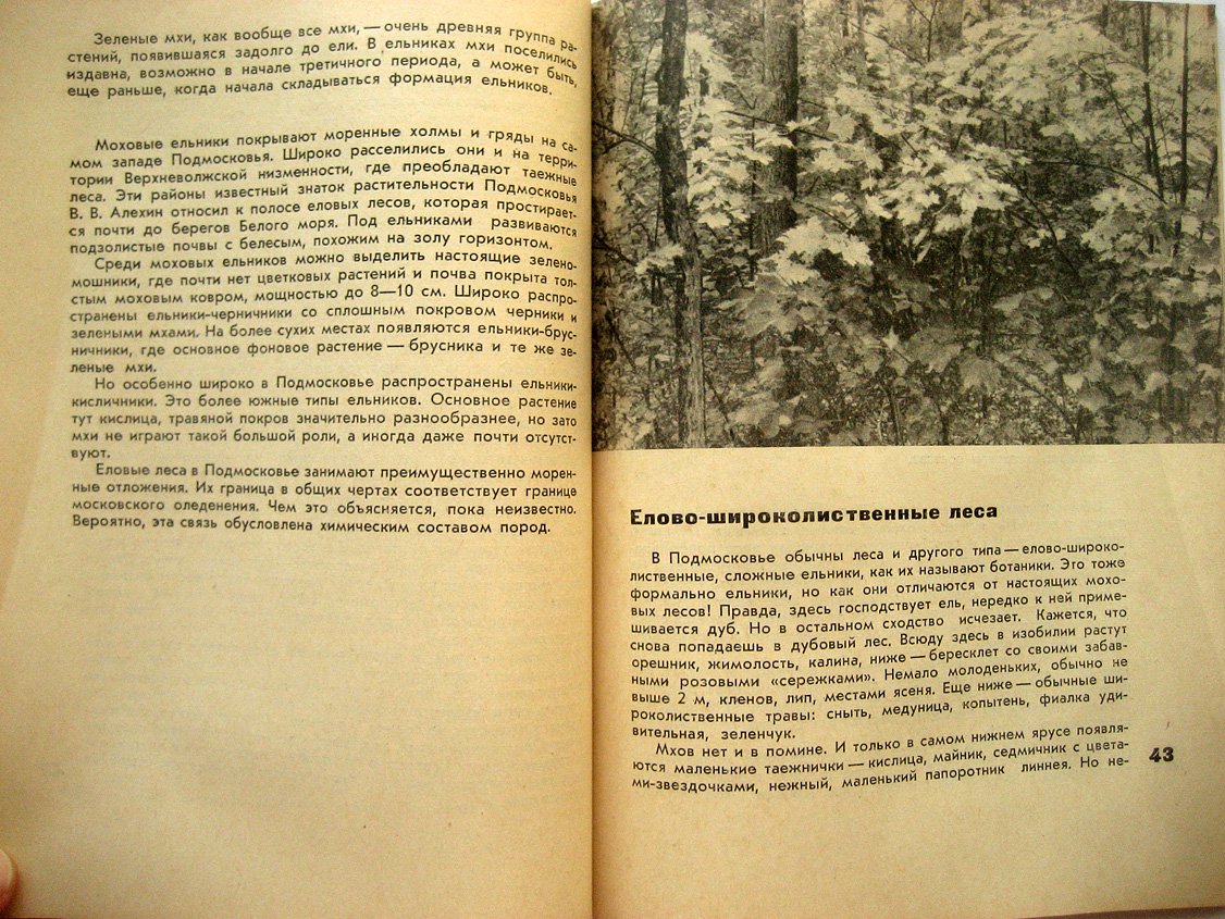 Любимова Е. Растительный мир Подмосковья.
