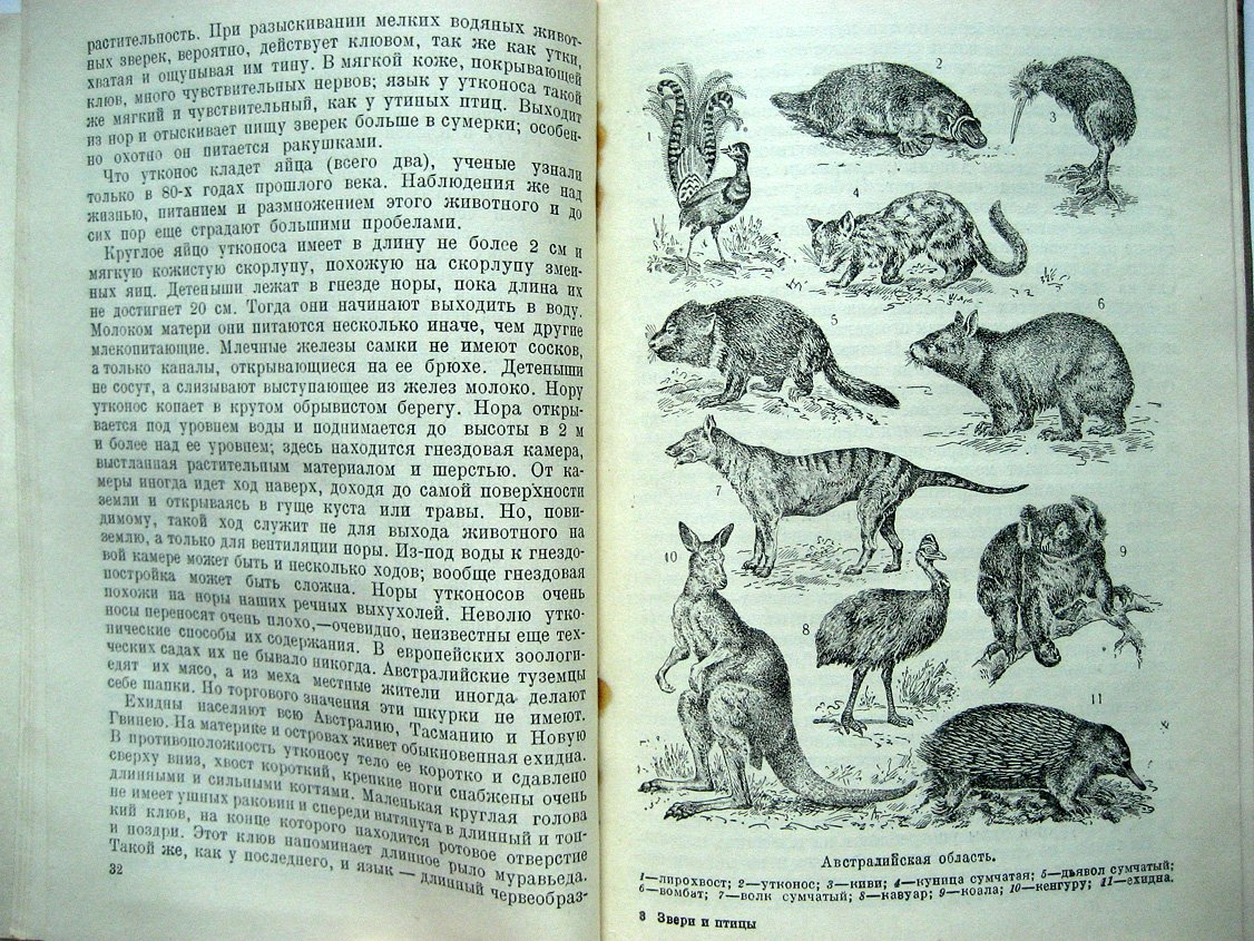 Житков Б. Звери и птицы земного шара.