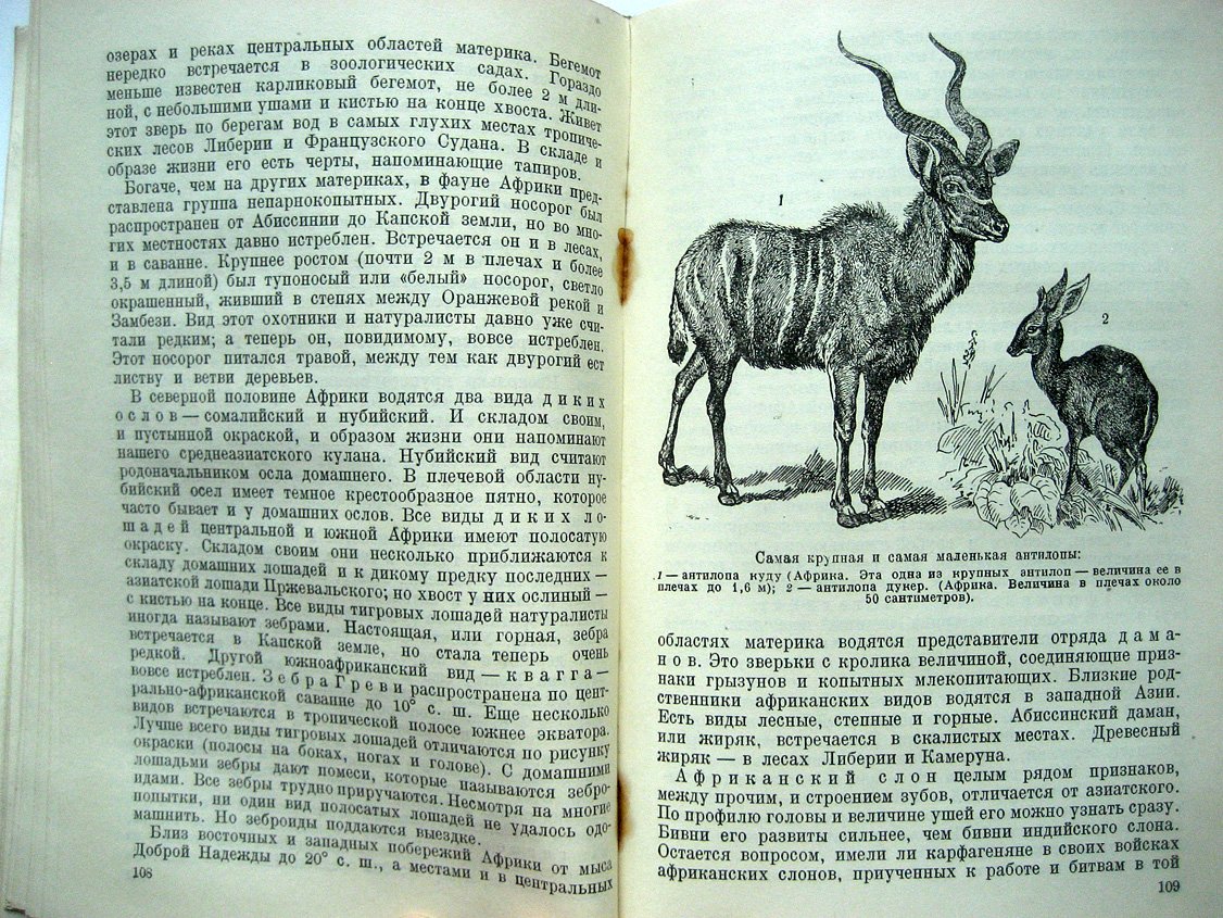 Житков Б. Звери и птицы земного шара.