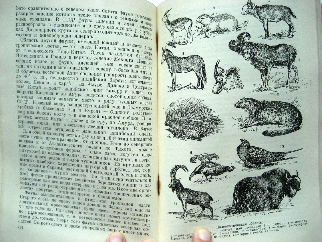 Житков Б. Звери и птицы земного шара.