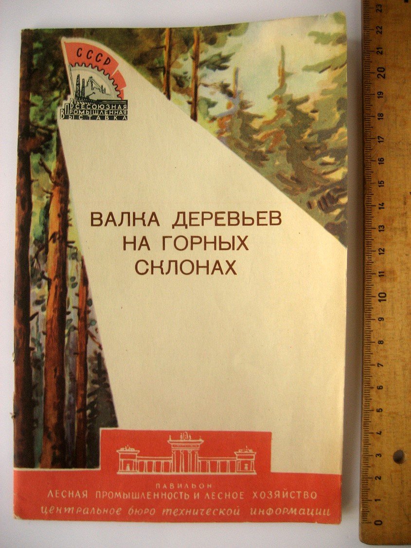 Валка деревьев на горных склонах.