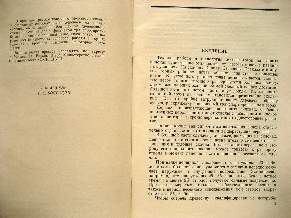 Валка деревьев на горных склонах.