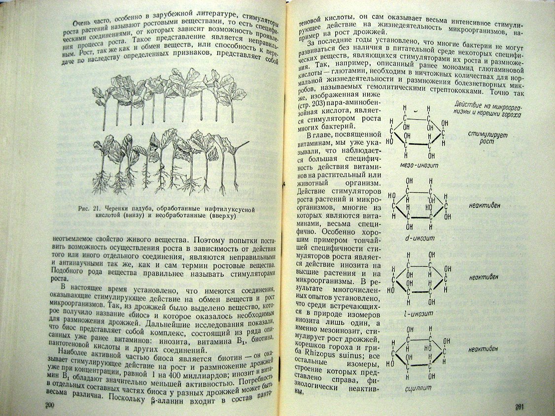 Кретович В. Основы биохимии растений.