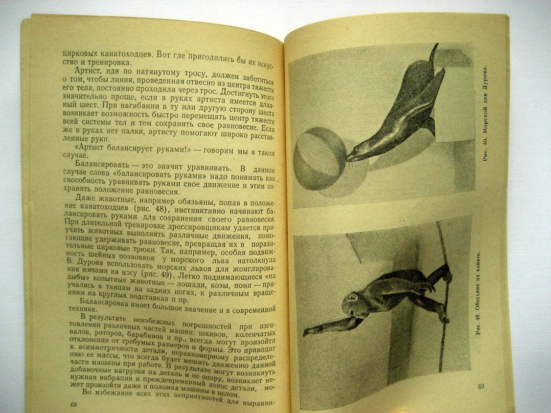 Соколова Е. Центр тяжести.
