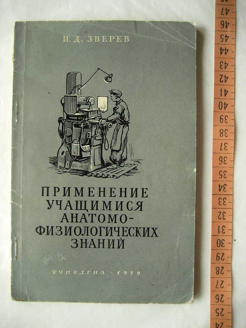 Зверев И. Применение учащимися анатомо-физиологических знаний.