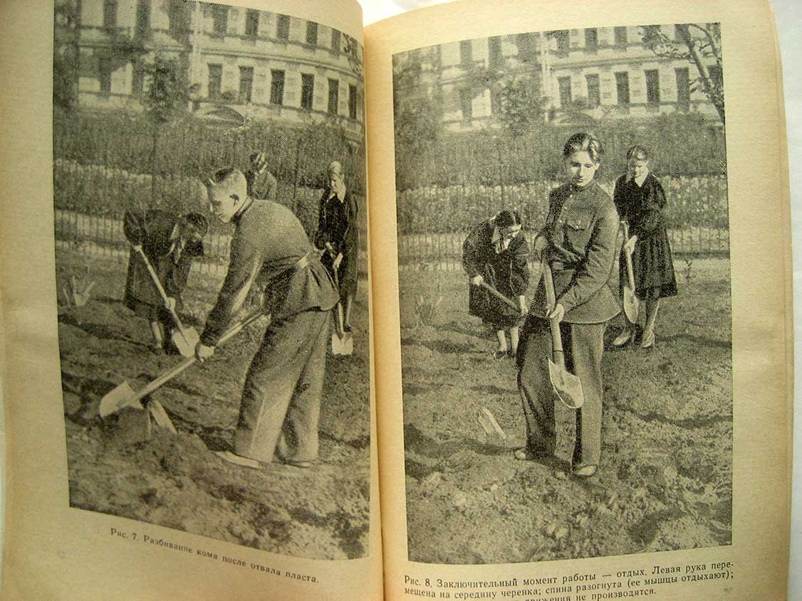 Зверев И. Применение учащимися анатомо-физиологических знаний.