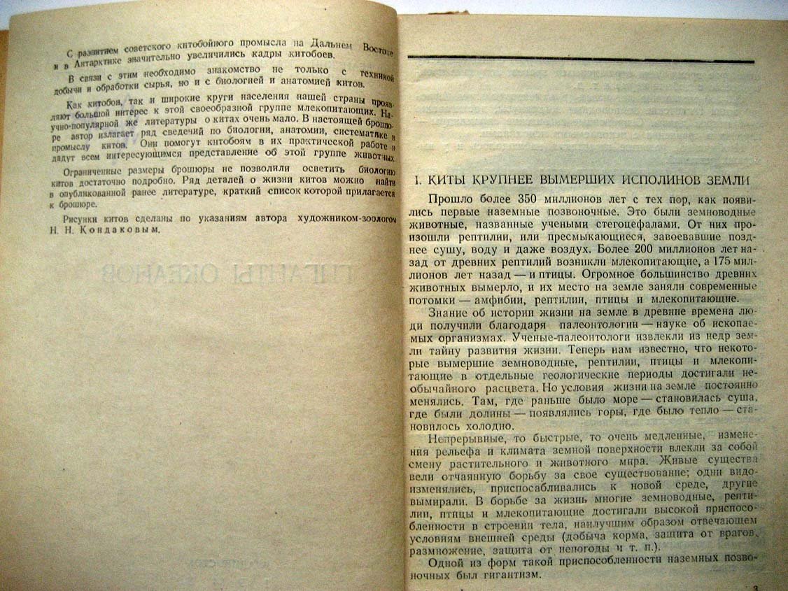 Слепцов М. Гиганты океанов.