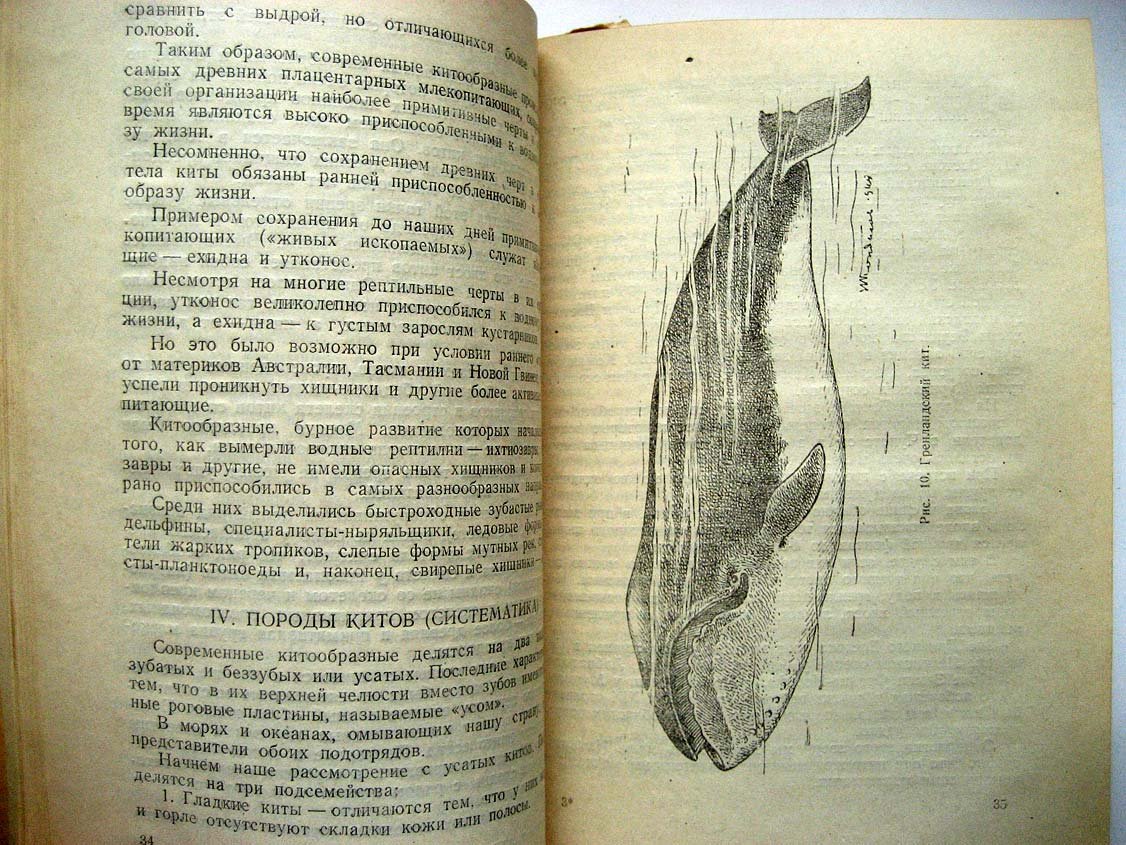 Слепцов М. Гиганты океанов.