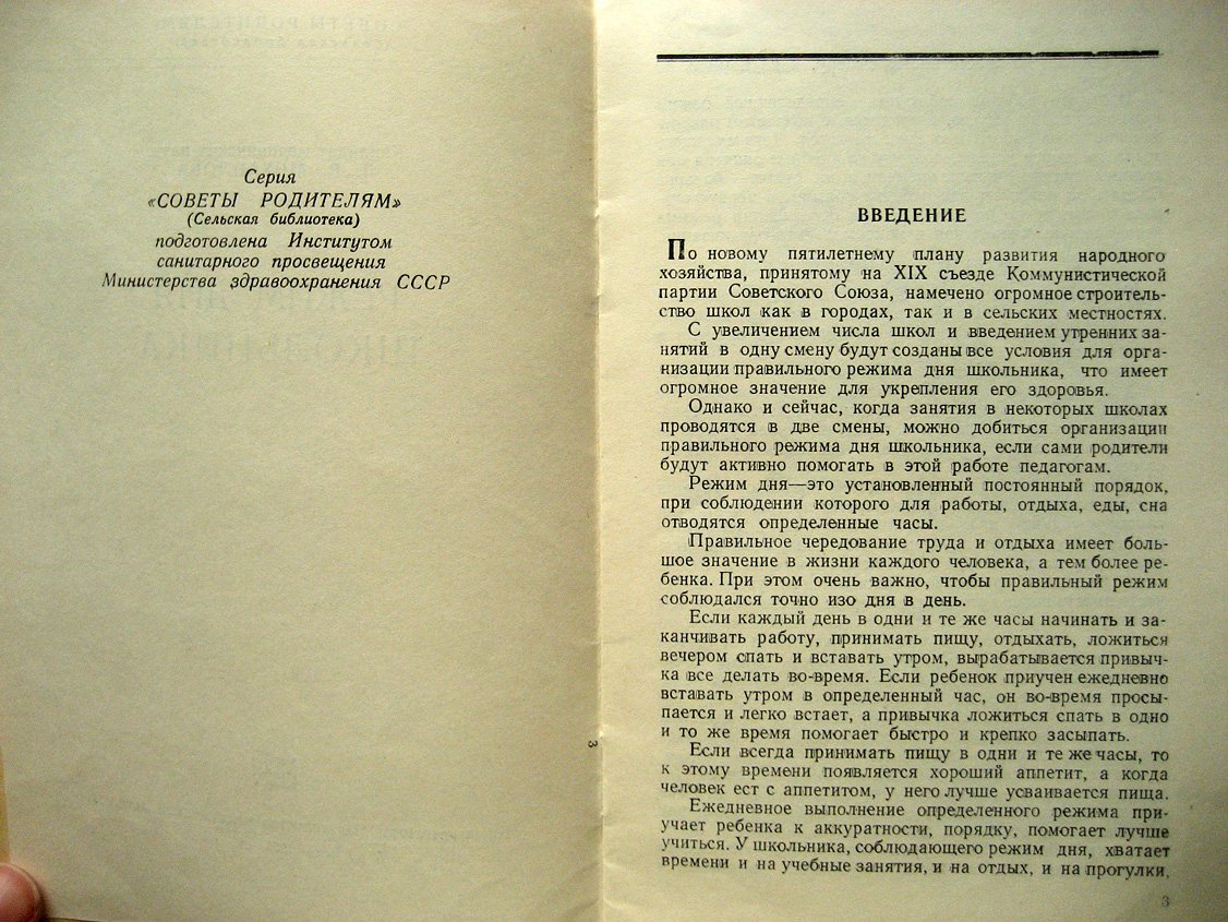Михайлова Л. Режим дня школьника.