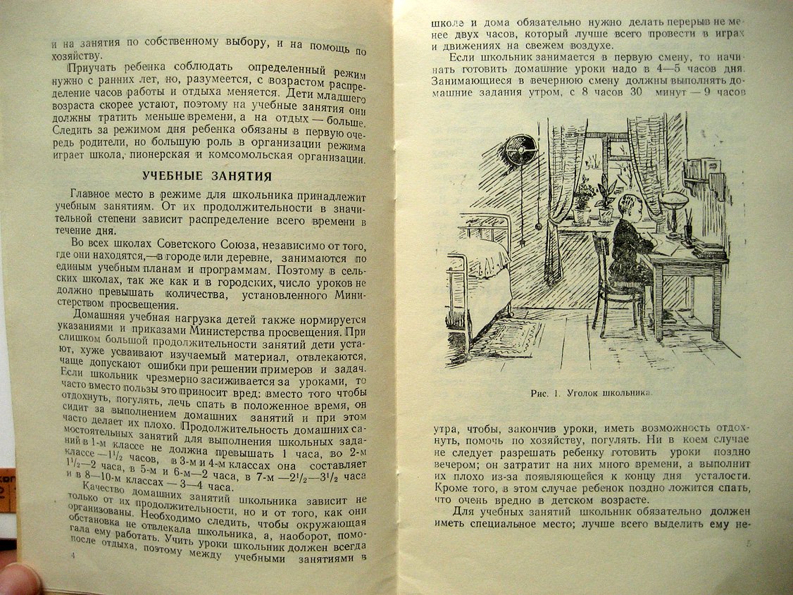 Михайлова Л. Режим дня школьника.