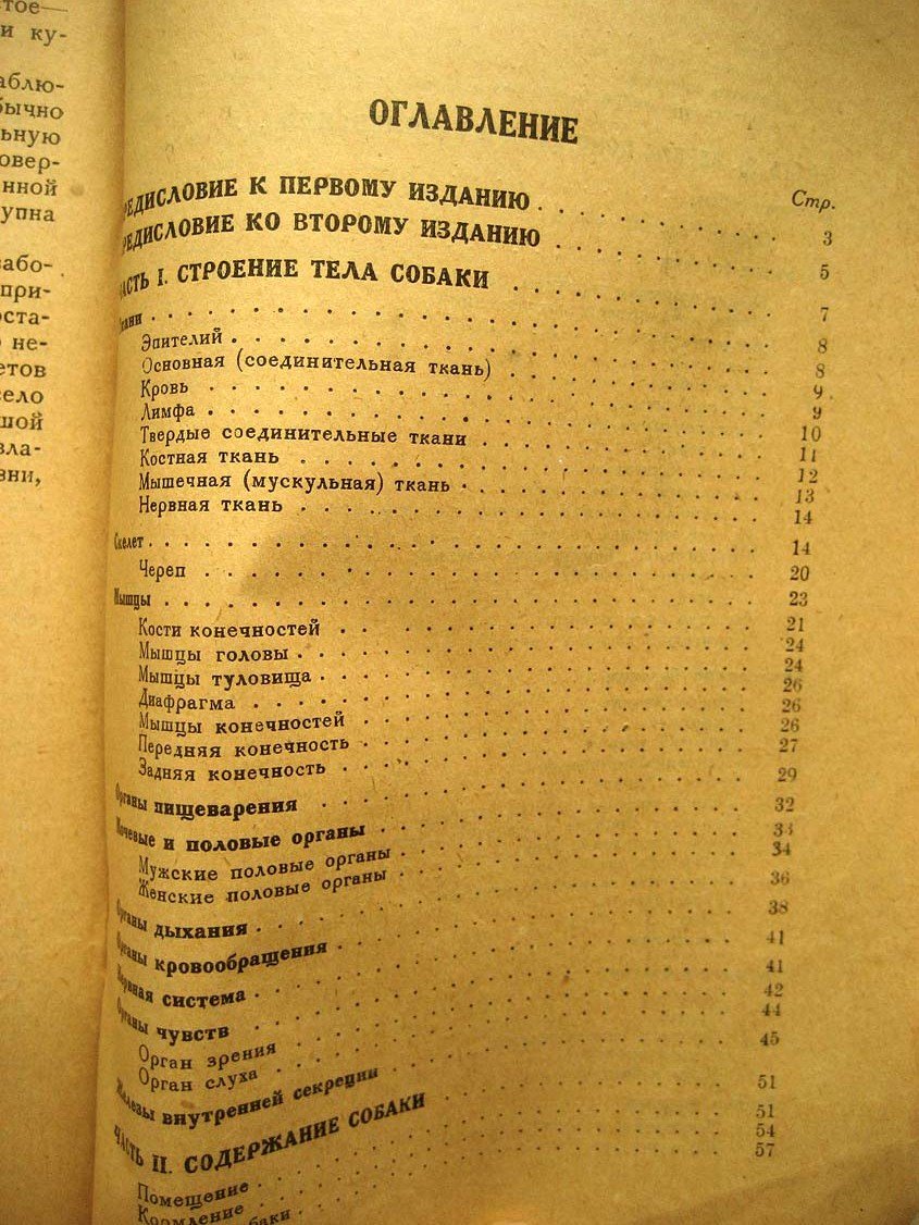 Михайлов В. Первая помощь заболевшей собаке.