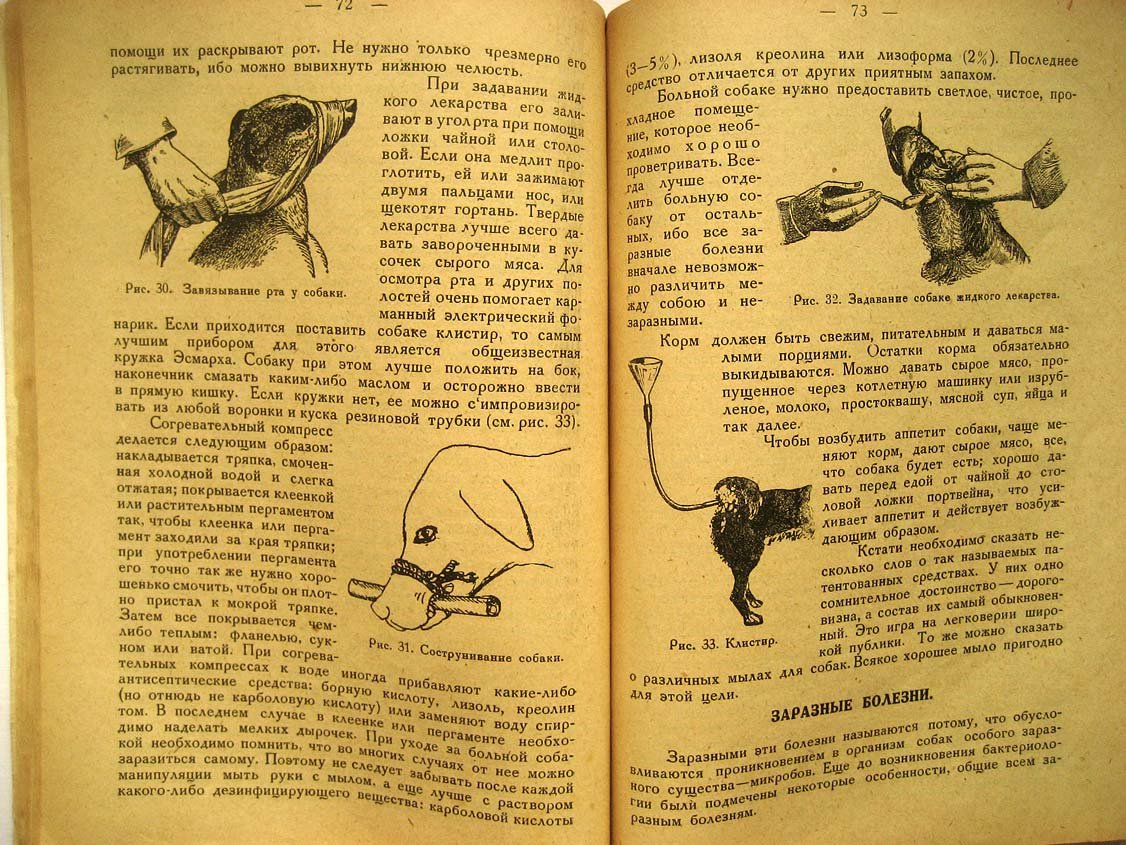 Михайлов В. Первая помощь заболевшей собаке.