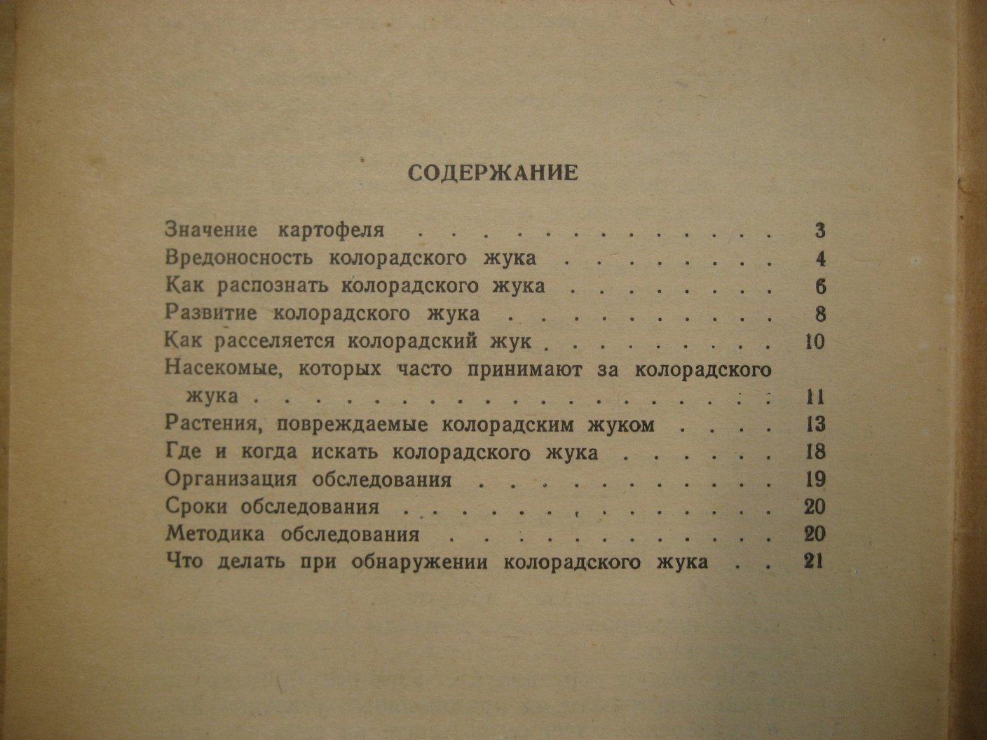 Яковлева П. Колорадский картофельный жук.