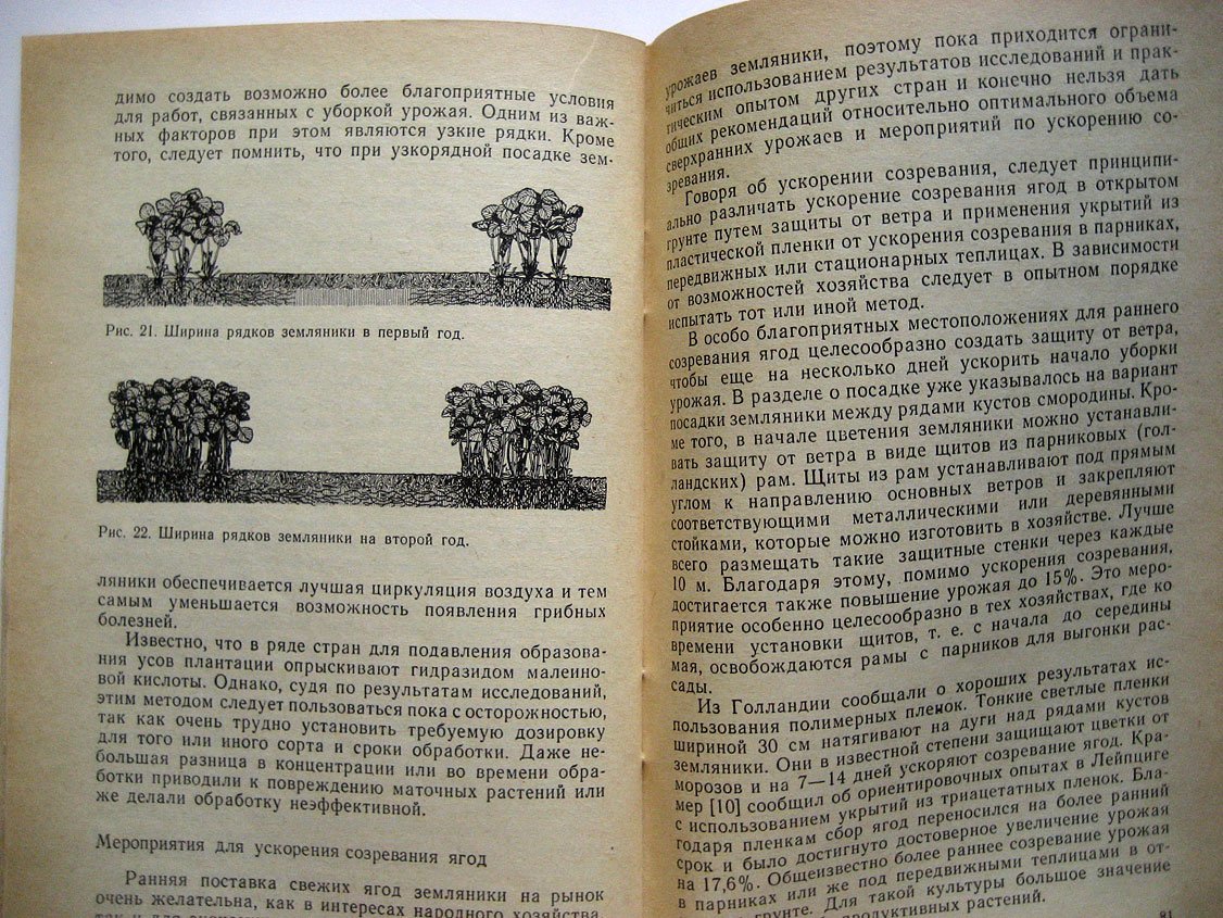Мюллер Х. Культура земляники.