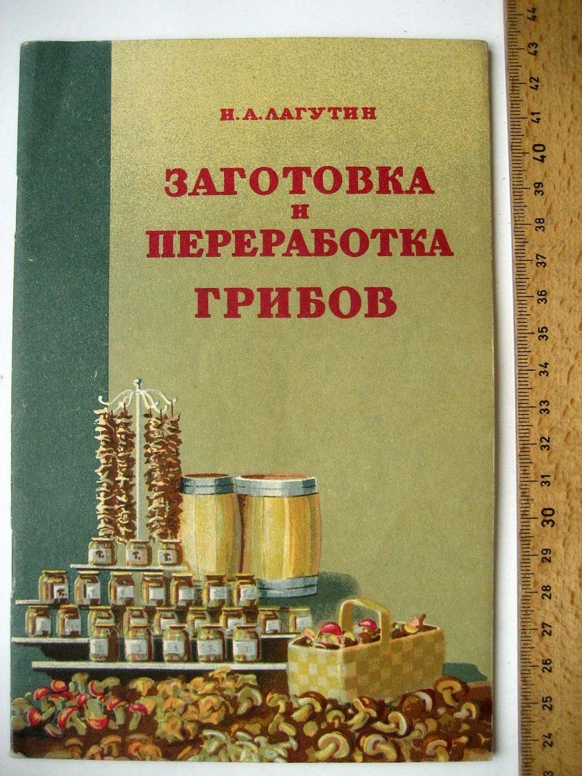 Лагутин И. Заготовка и переработка грибов.