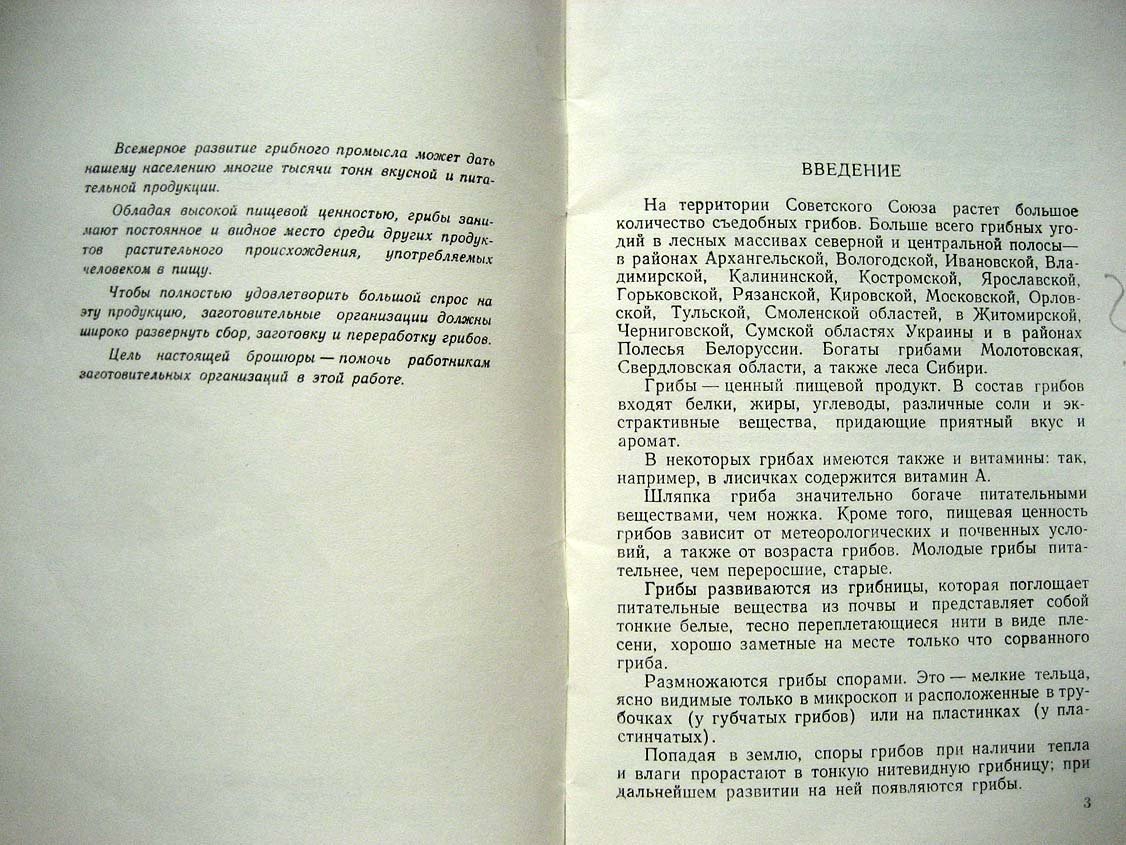 Лагутин И. Заготовка и переработка грибов.