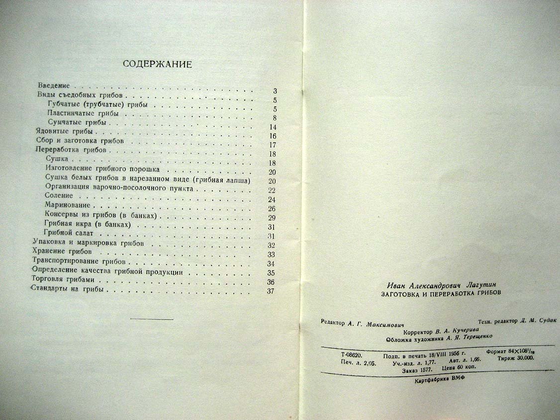 Лагутин И. Заготовка и переработка грибов.