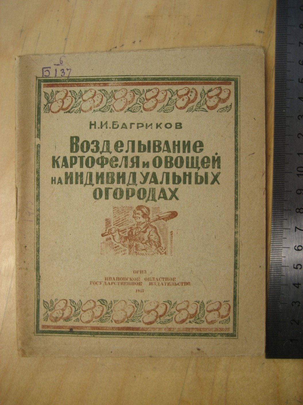 Багриков Н. Возделывание картофеля и овощей на индивидуальных огородах.