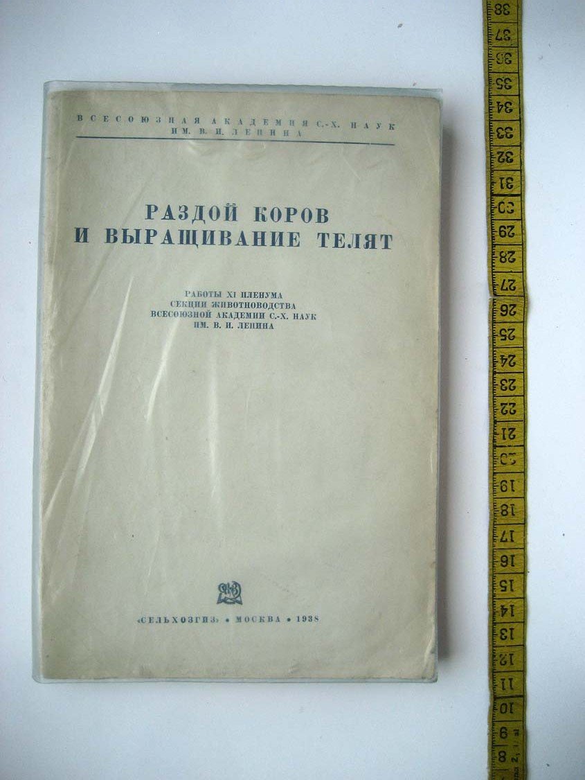 Раздой коров и выращивание телят.