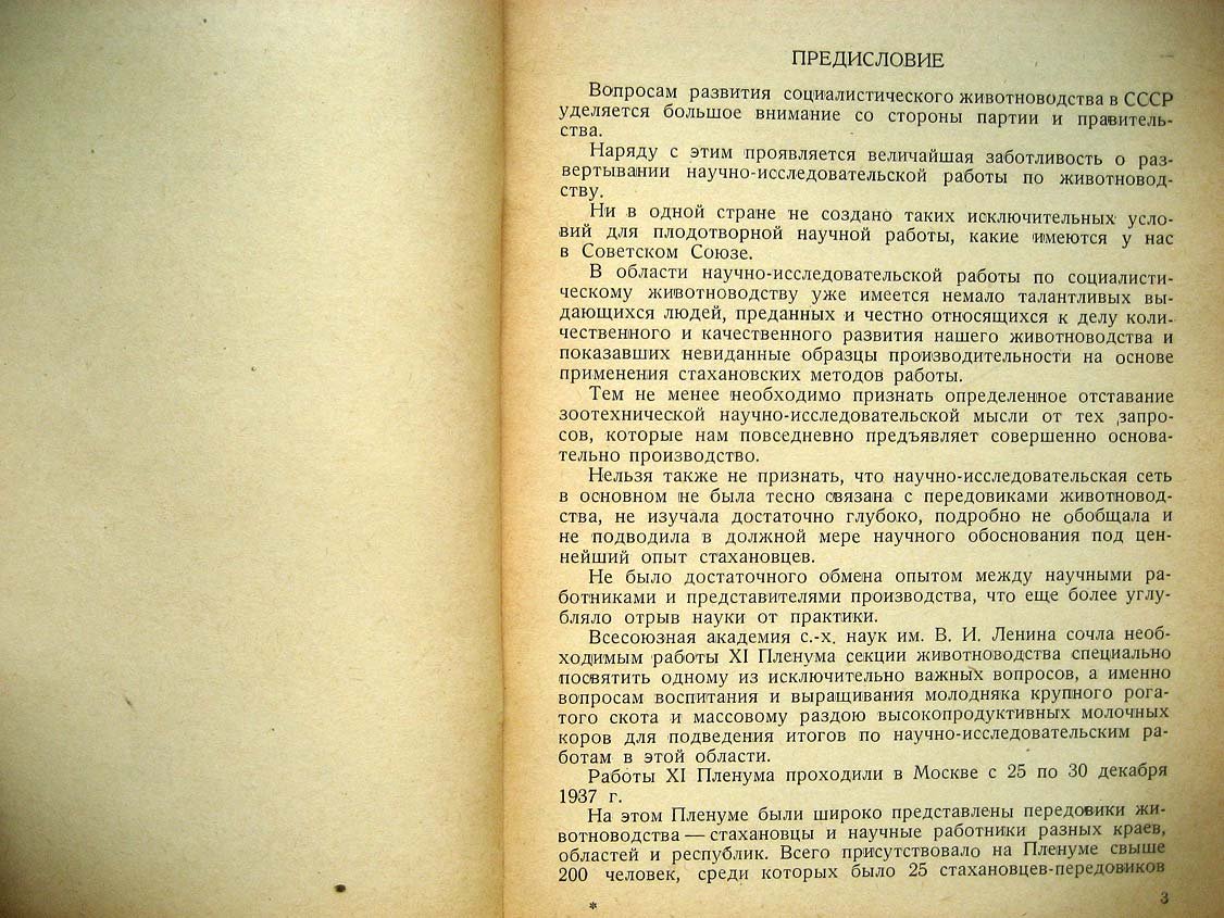 Раздой коров и выращивание телят.