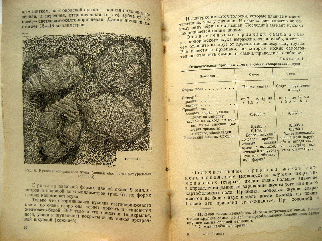 Яковлев Б. Колорадский картофельный жук и меры борьбы с ним.