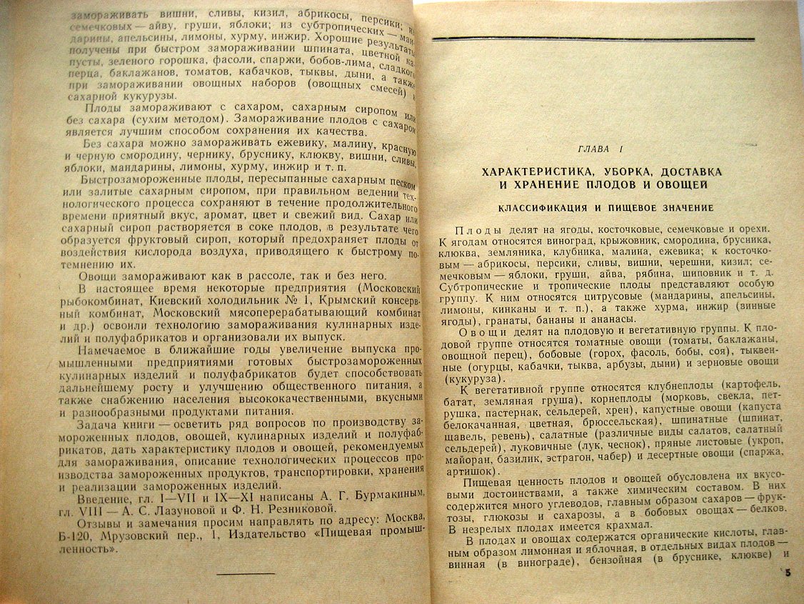 Бурмакин А., Лазунова А., Резникова Ф. Технология замороженных продуктов.