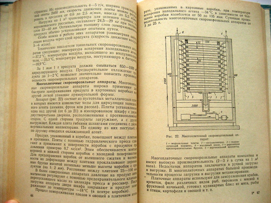 Бурмакин А., Лазунова А., Резникова Ф. Технология замороженных продуктов.