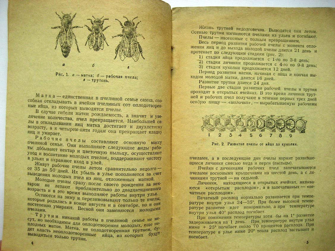 Винниченко П. Как сделать улей и содержать пчел.