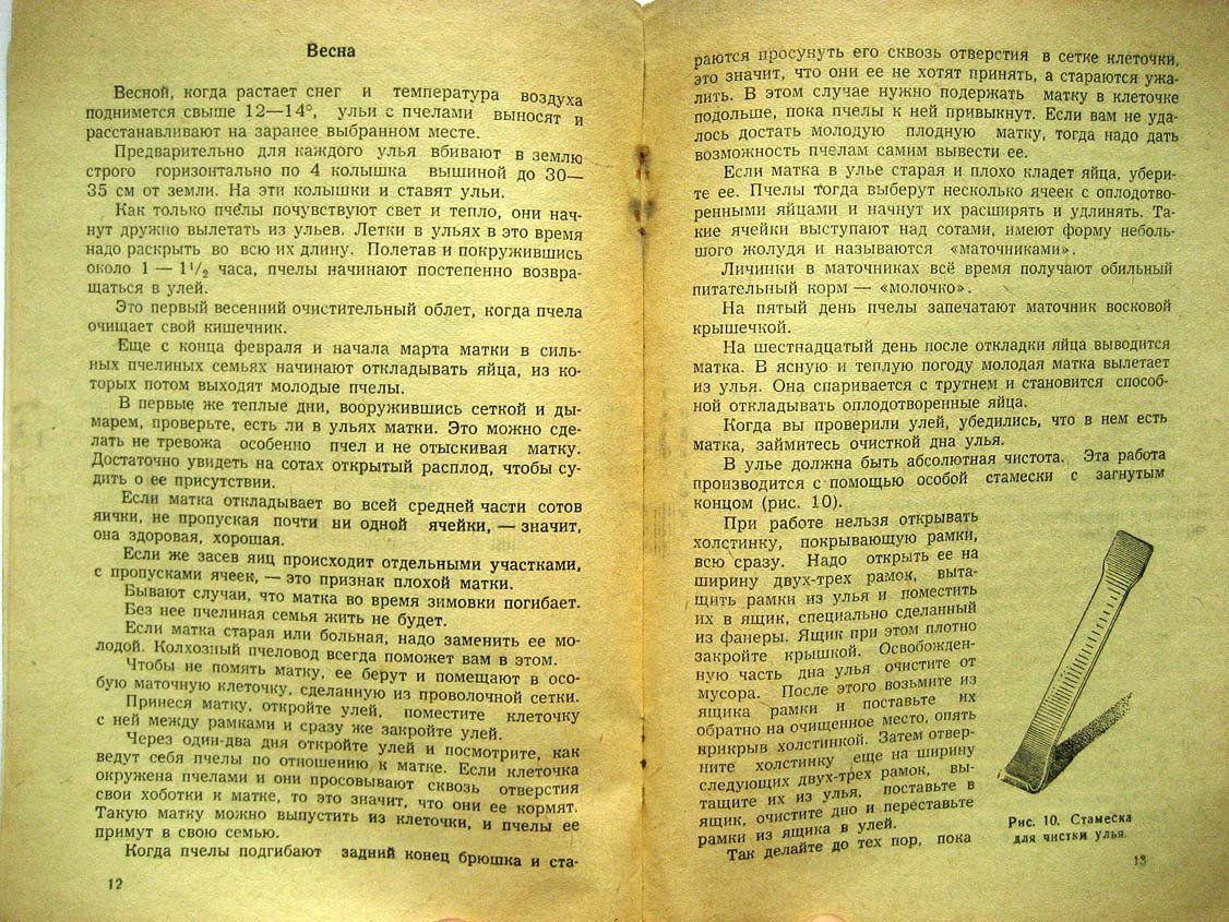 Винниченко П. Как сделать улей и содержать пчел.