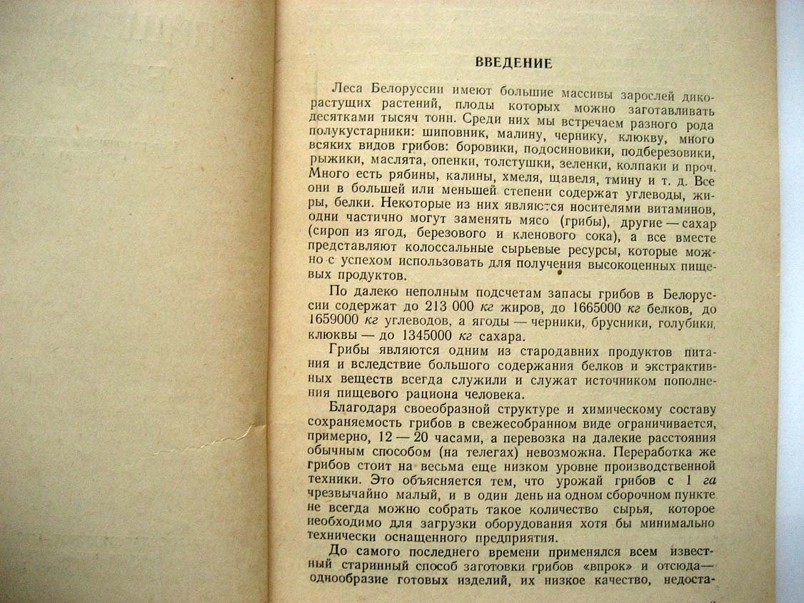 Захарич Ф. Пищевые грибы Белоруссии.