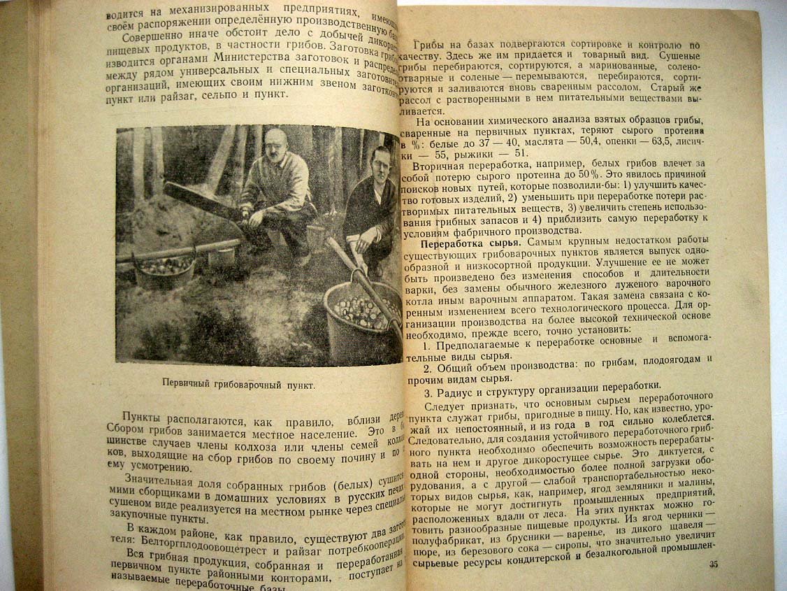 Захарич Ф. Пищевые грибы Белоруссии.