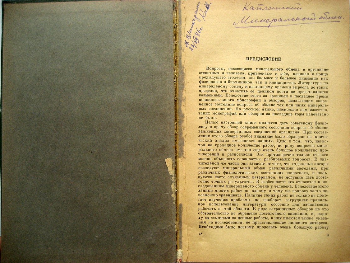 Капланский С. Минеральный обмен.