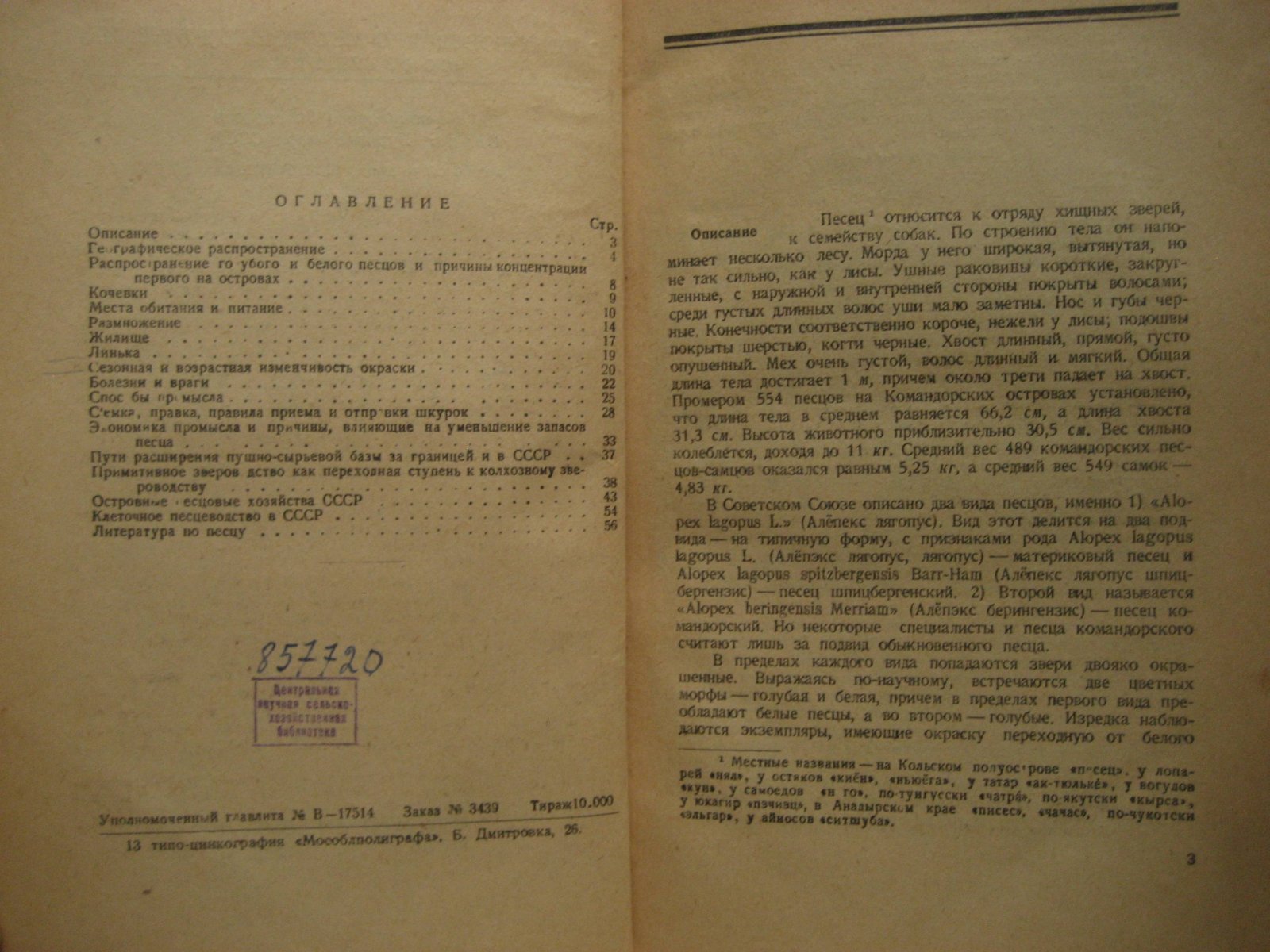 Лавров Н. Песец.