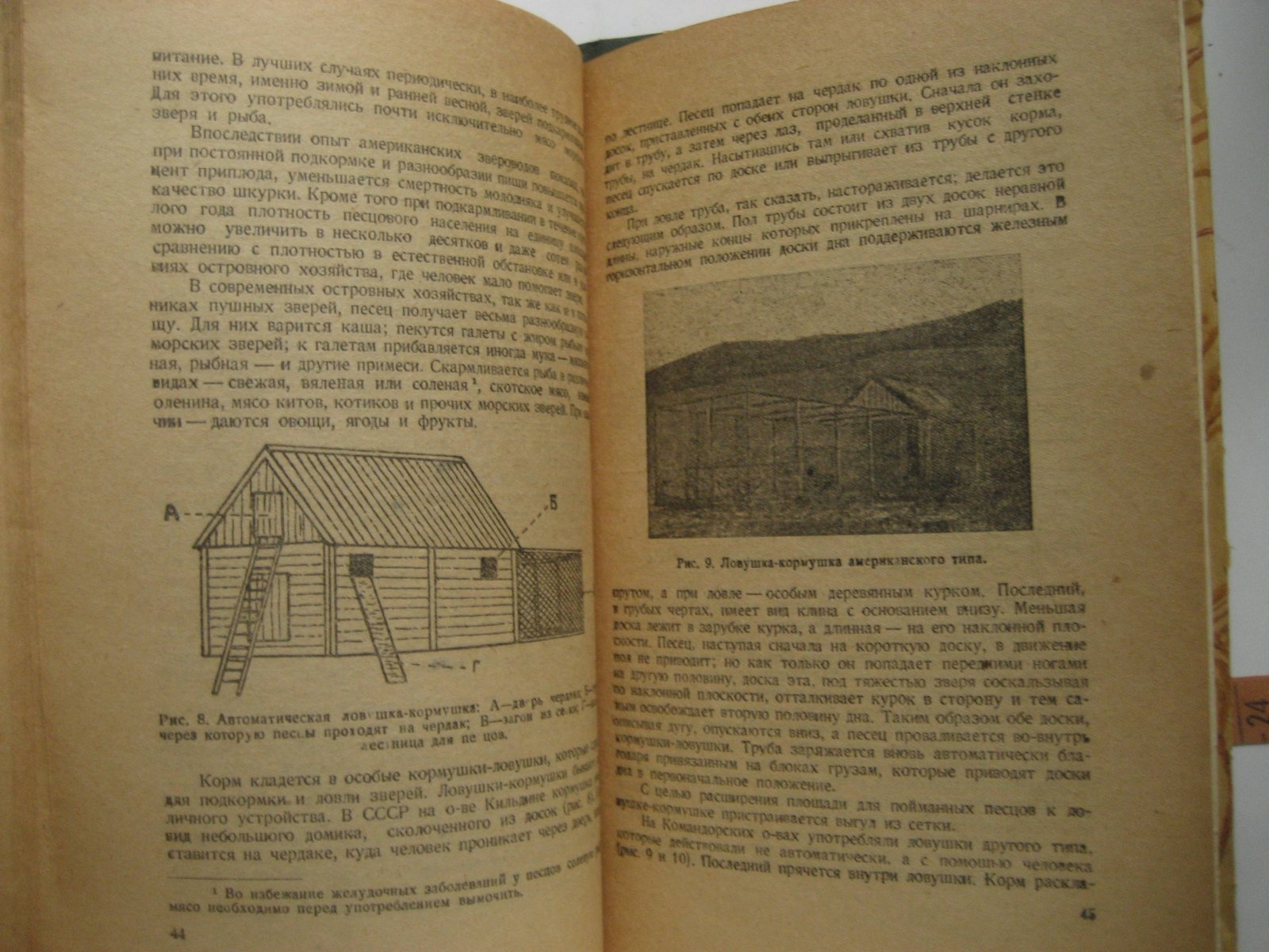 Лавров Н. Песец.