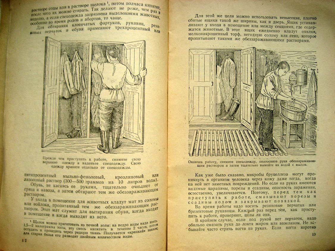 Голубева А. Как предупредить заболевания бруцеллезом.
