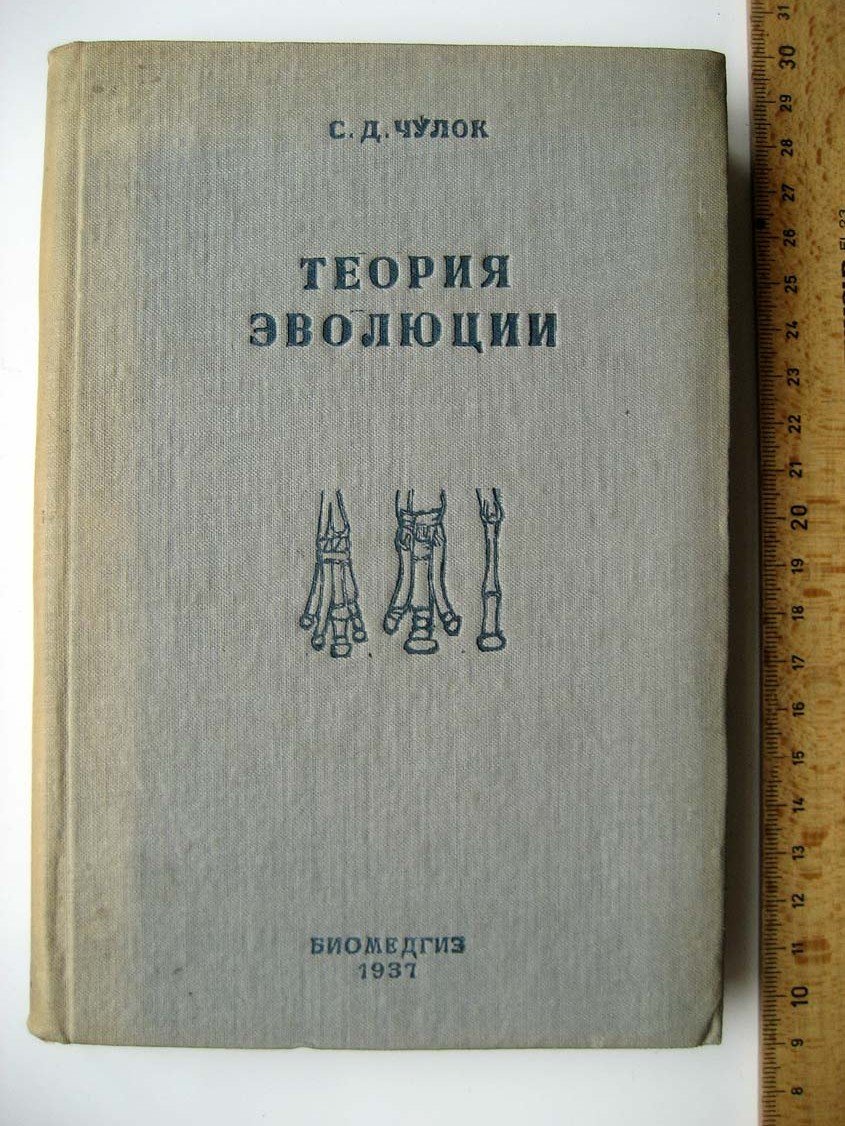 Чулок С. Теория эволюции.
