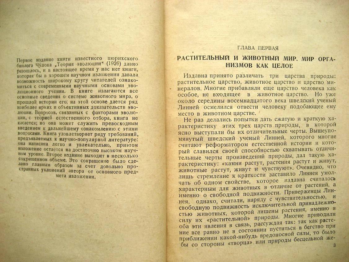 Чулок С. Теория эволюции.