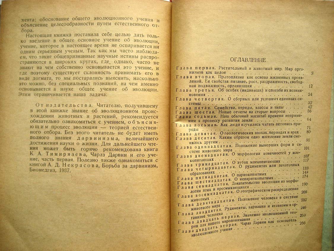 Чулок С. Теория эволюции.