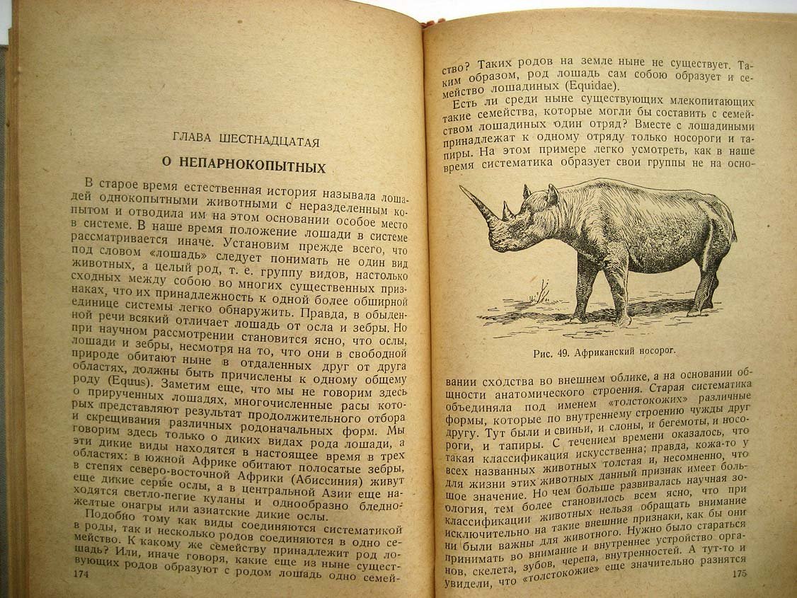 Чулок С. Теория эволюции.