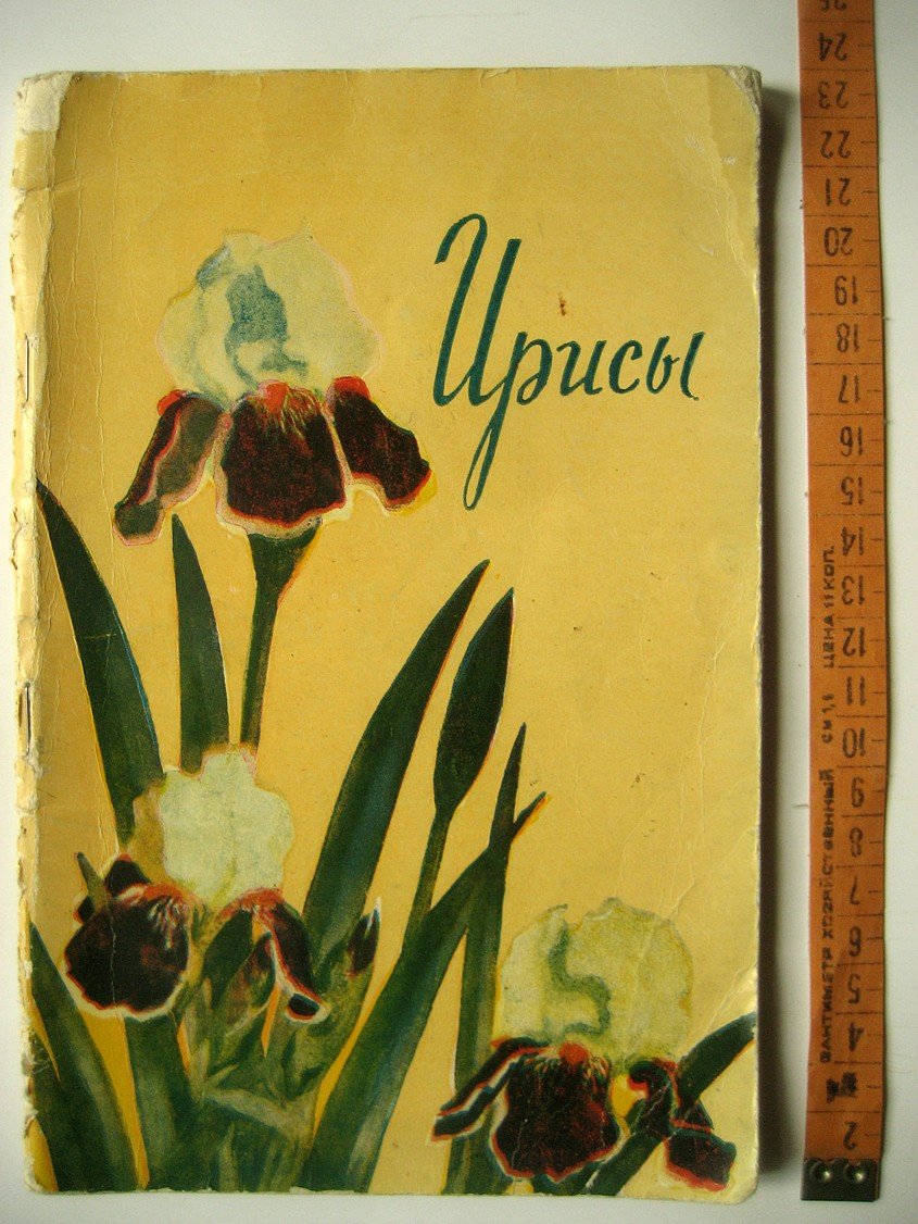 Родионенко Г. Ирисы.